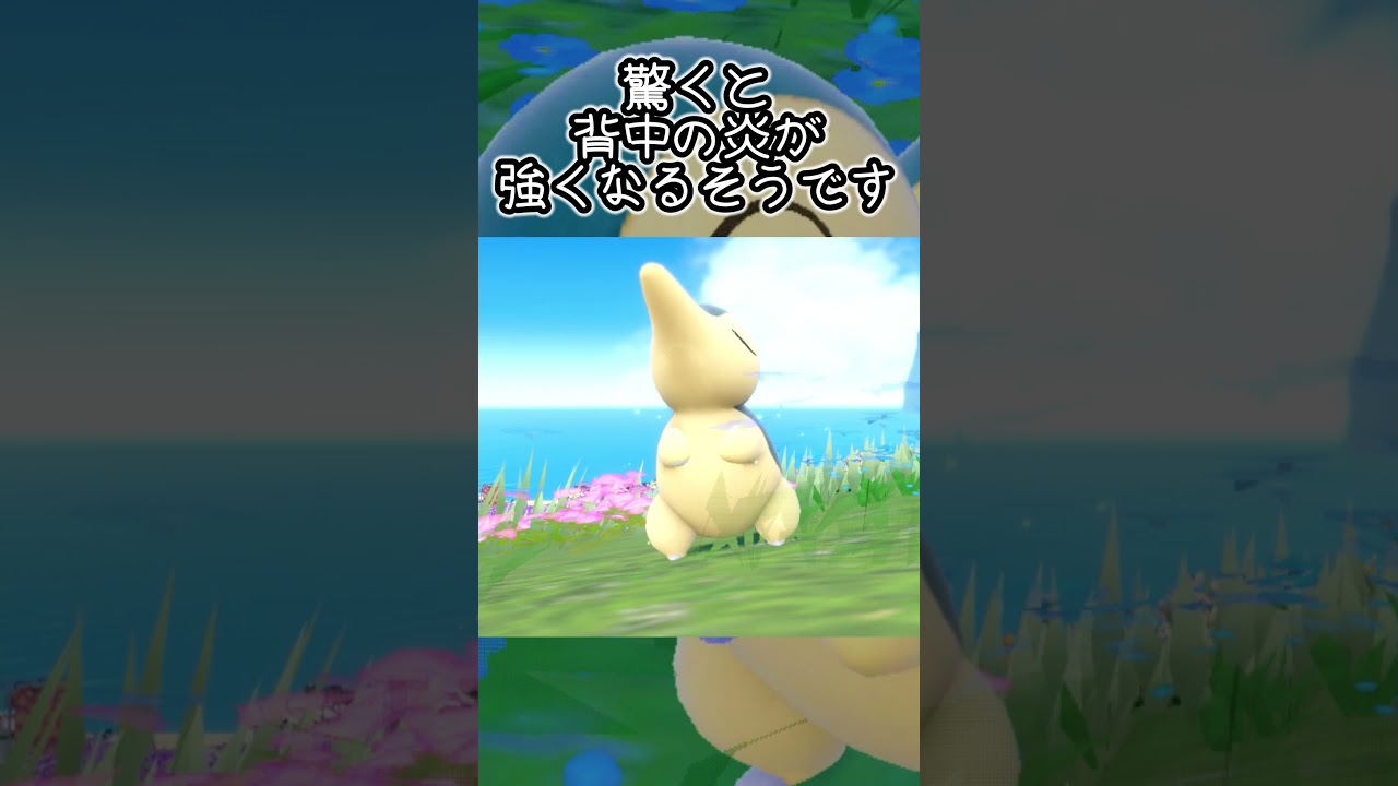 【疲れた人向け】ヒノアラシ6匹とピクニック【ポケモンSV】#Shorts