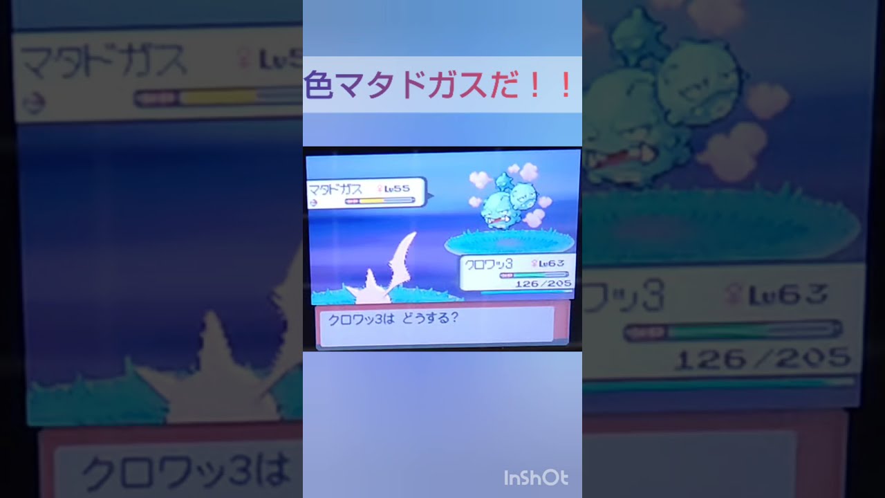 【ポケモンDP】色違い捕獲日記　15日目　マタドガス　【PokémonDP】The diary Capturing shiny Pokémon's.　Day15　Weezing　#shorts