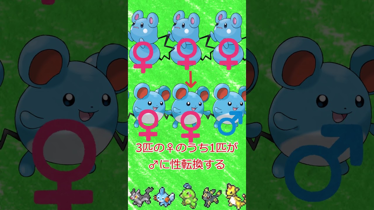 絶対タイプ勘違いしてると思うポケモン達#shorts