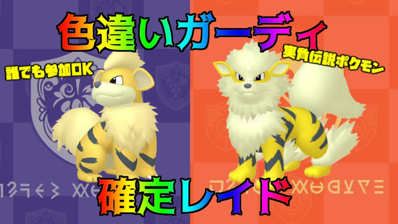 ポケモンSV 色違いガーディレイド　視聴者参加型