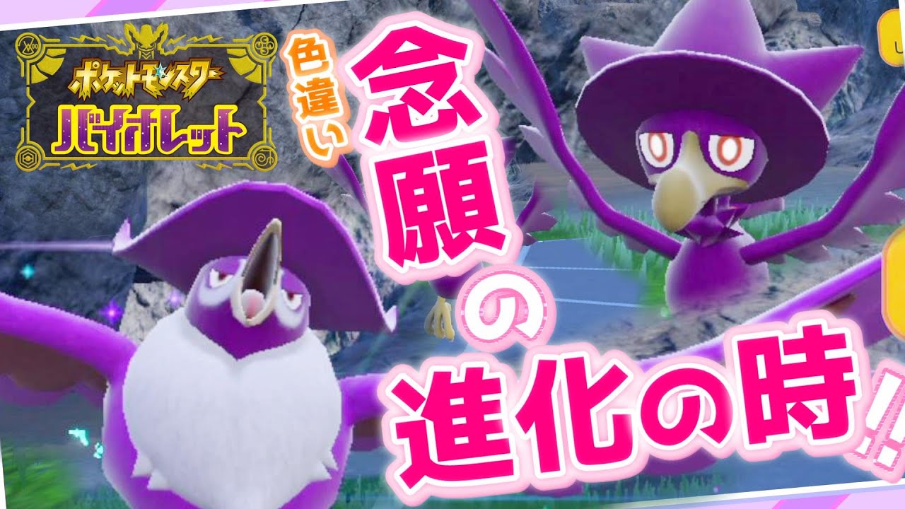 【ポケモンSV】遂に《色違いヤミカラス》進化の時！洞窟行くぞ！ -プルピケ山道編-『ゆるふわマッドに【ポケットモンスターバイオレット】』【冒険編】#42