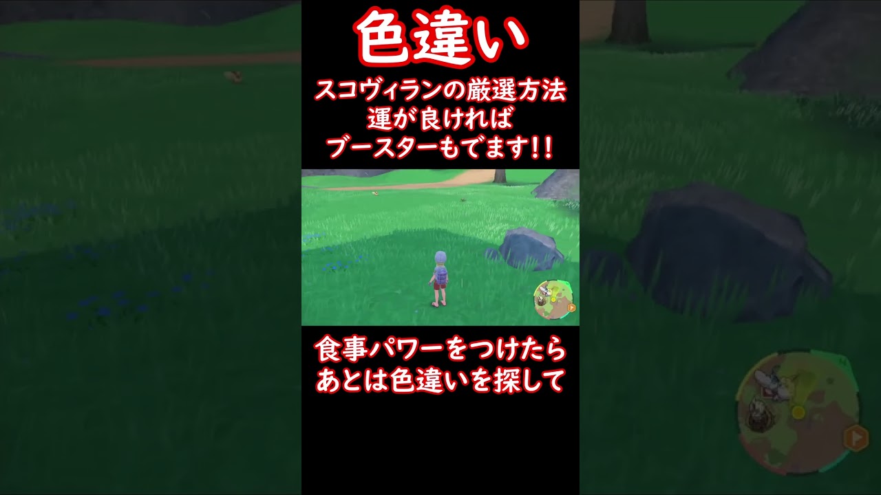スコヴィランの色違い厳選方法！ブースターの色違いがでる事も #shorts #ポケットモンスター #ポケモンsv #ポケモン #pokemon #色違い #ブースター