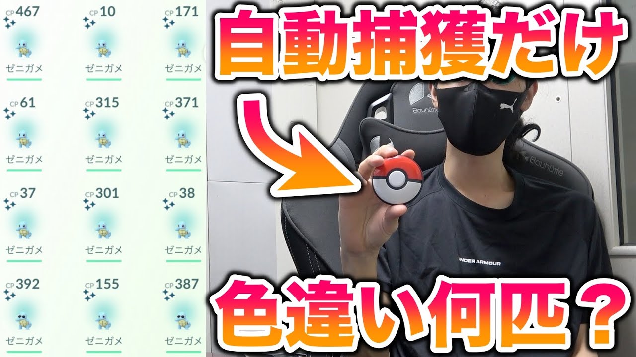【検証】ポケモンGO Plus + の自動捕獲だけでゼニガメのコミュデイに色違いを何匹ゲットできるか？【ポケモンGO/Niantic】