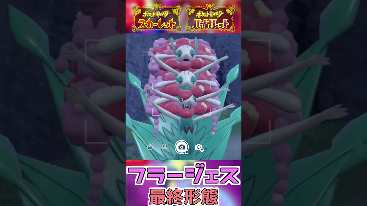 ちょこっと閲覧注意？なフラージェスたち【ポケモンSV】#shorts