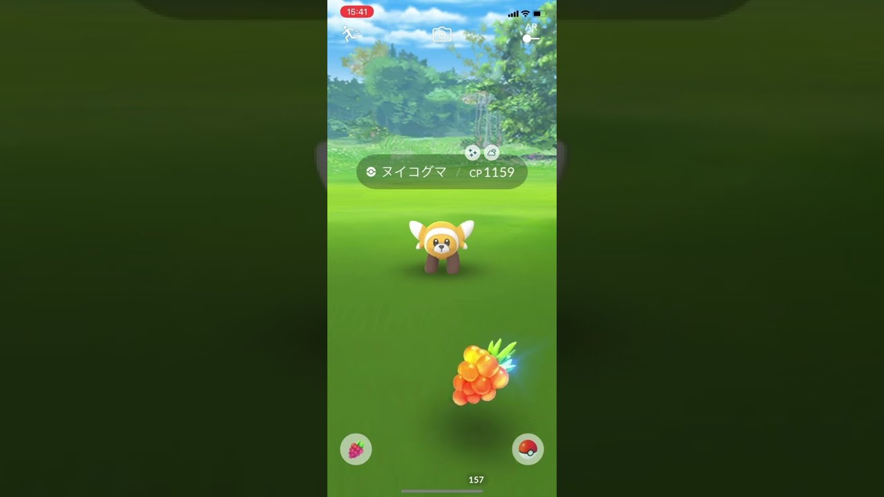 【ポケGO】ヌイコグマ色違い（コミュニティデイにて）ポケモンGO