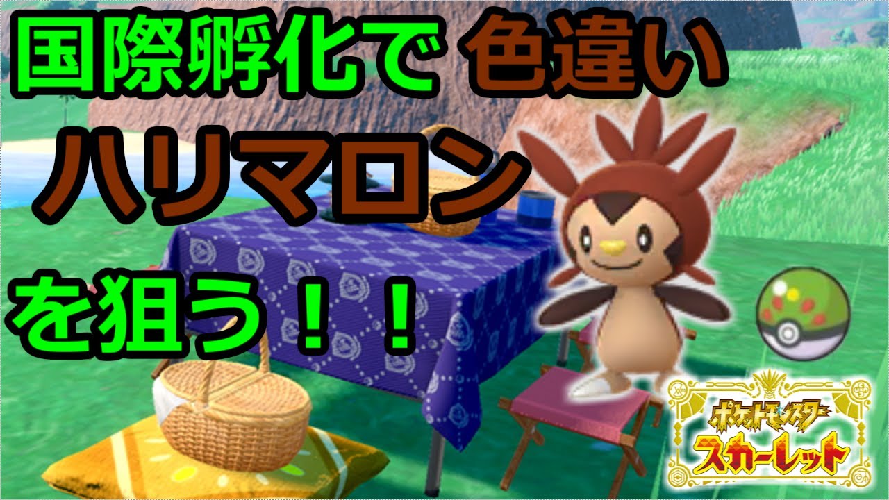 【ポケットモンスター　スカーレット】　国際孵化で色違いハリマロンを厳選する配信　【雑談枠】