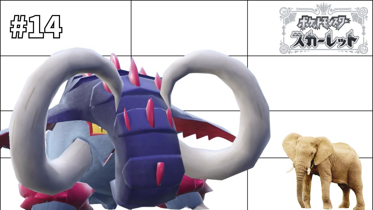 ドンファン？でかすぎん？【ポケモンsv 実況】Part14