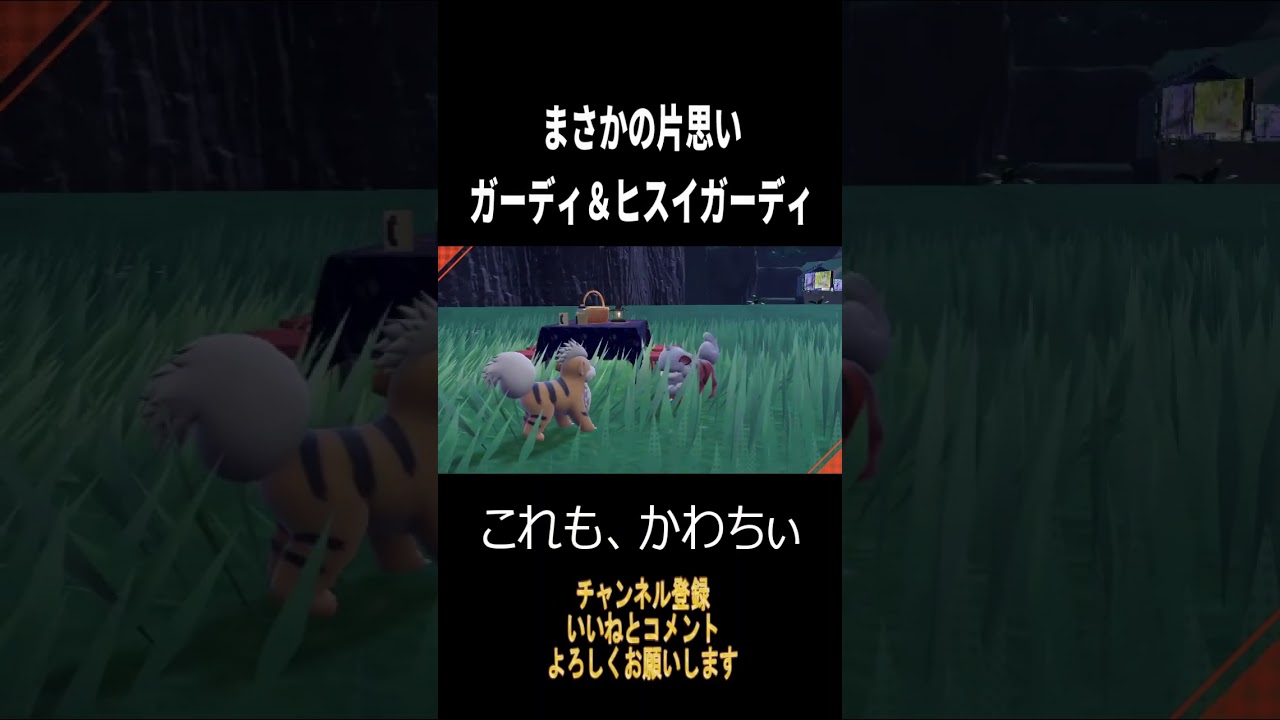 【ポケモンSV】片思いなヒスイガーディ#shorts