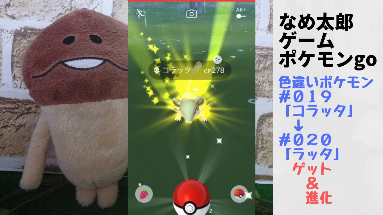 なめ太郎の色違いゲット＆進化＃０１９「コラッタ」→＃０２０「ラッタ」【ポケモンgo】