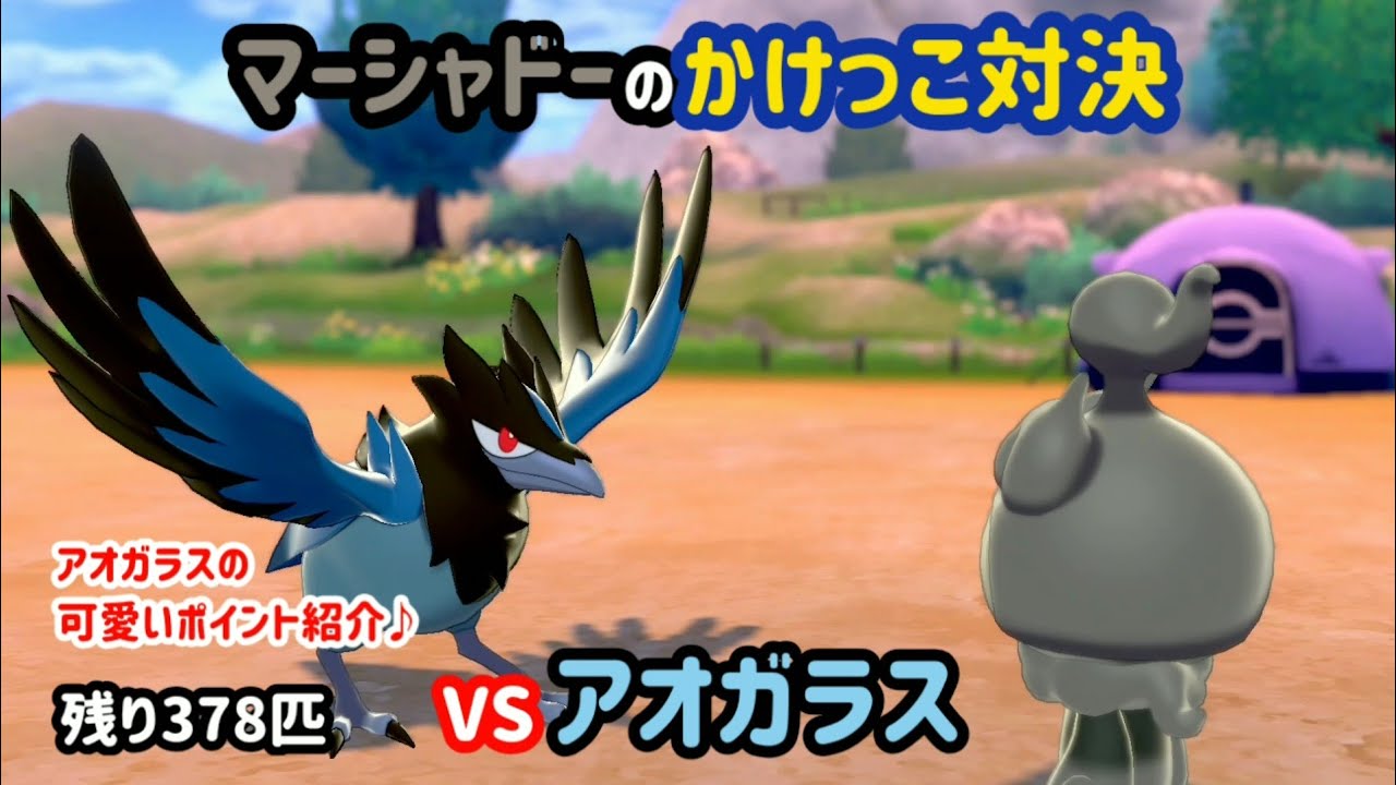 VSアオガラス ガラル図鑑No.22 【マーシャドーのかけっこ対決】