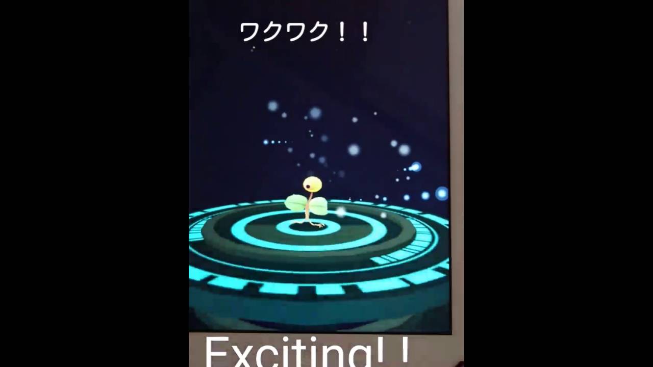 大人気！！ポケモンGO　進化！！　　マダツボミ→ウツドン　Very popular! ! Pokemon GO evolution! ! Madatsubomi → Utsudon