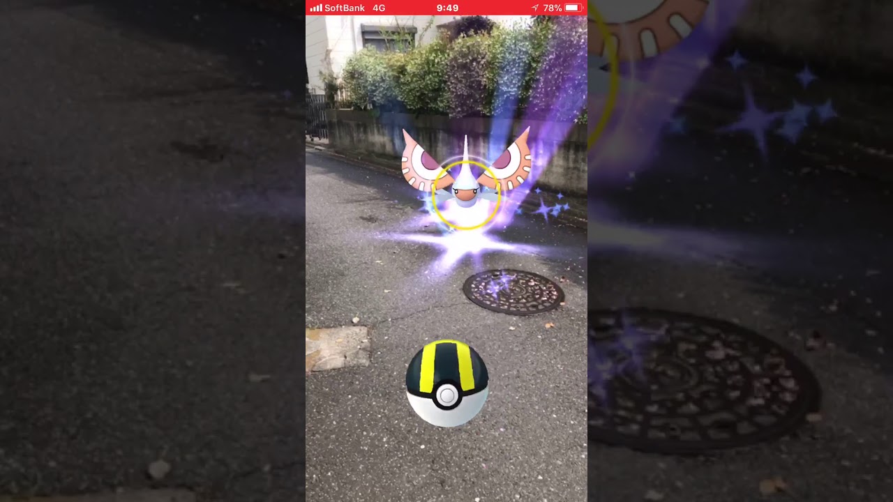 ポケモンGO  野生のアメモース