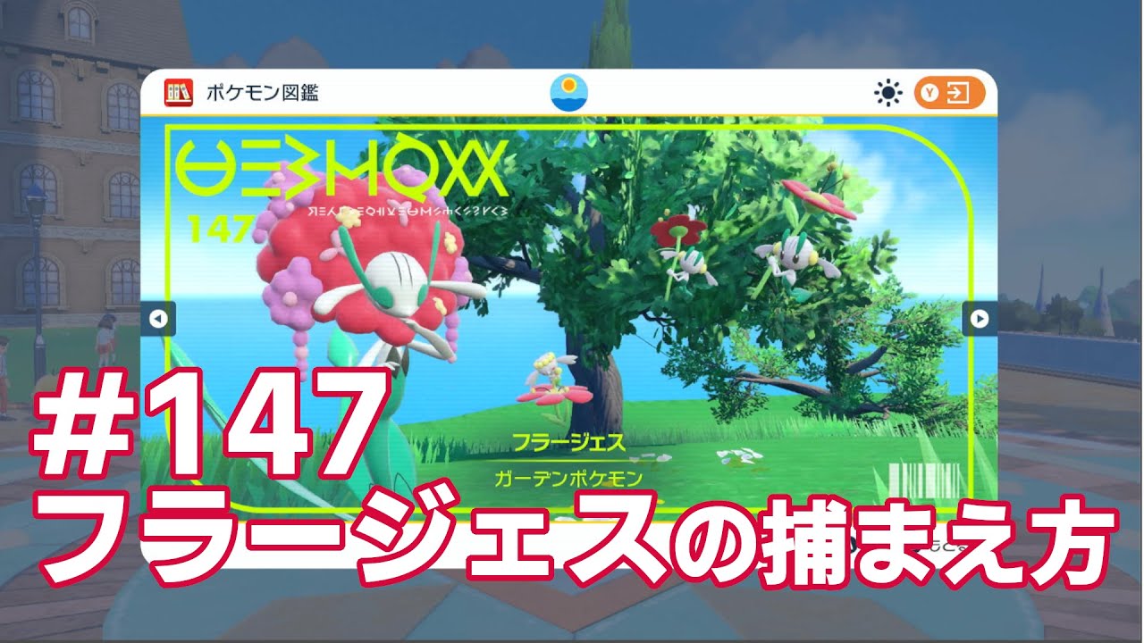 フラージェスを探している方に見てほしい動画