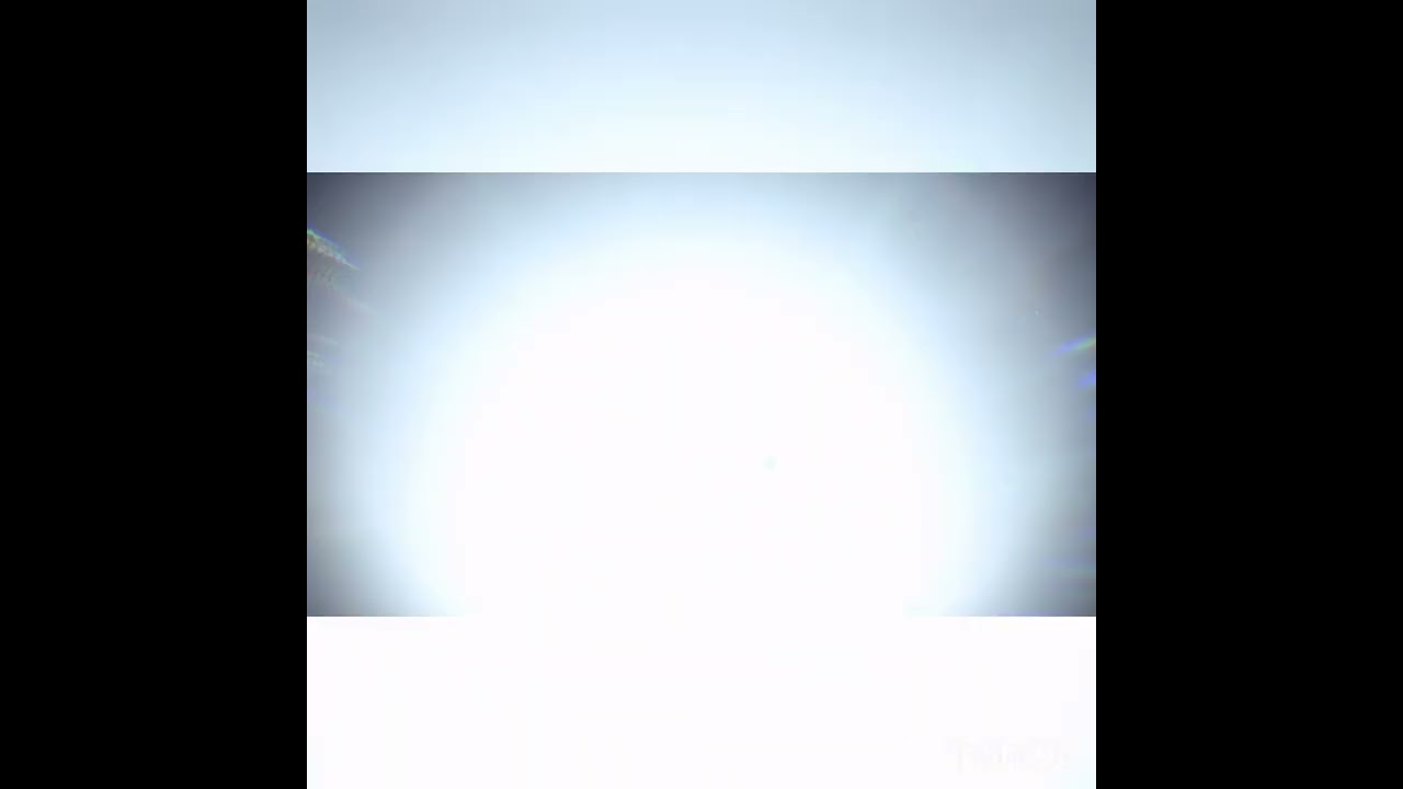 ポケットモンスターSV.   　　　　　　　　　　　　  こおりテラスタルブイゼル出現シーン！