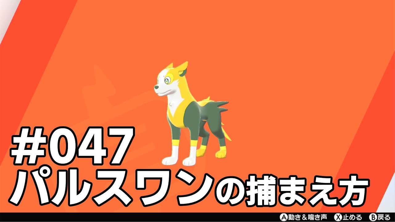 パルスワンを探している方に見てほしい動画