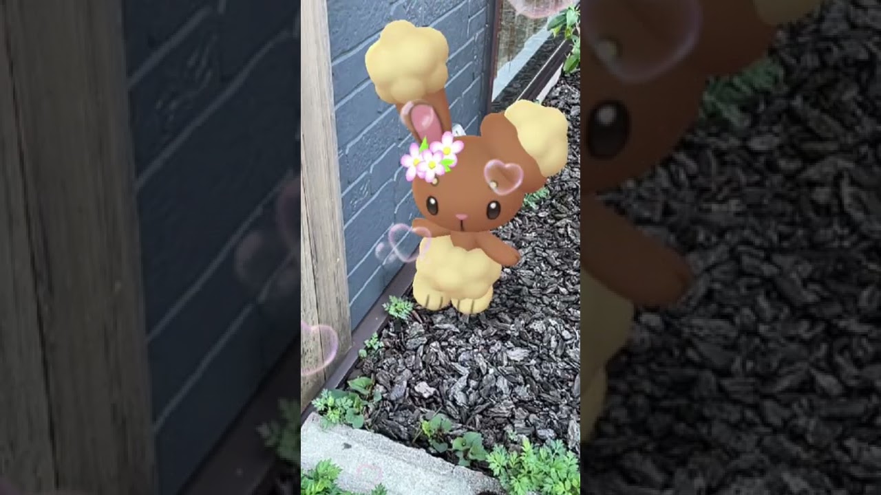 花飾りミミロルちゃん🌸