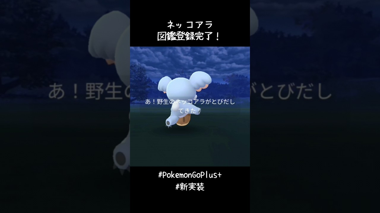 ネッコアラ図鑑登録完了✍️寝相悪いな〜〜〜🤣相棒ナイスアシスト👍#ポケモンGO #ポケモンGOプラスプラス #コラボイベント
