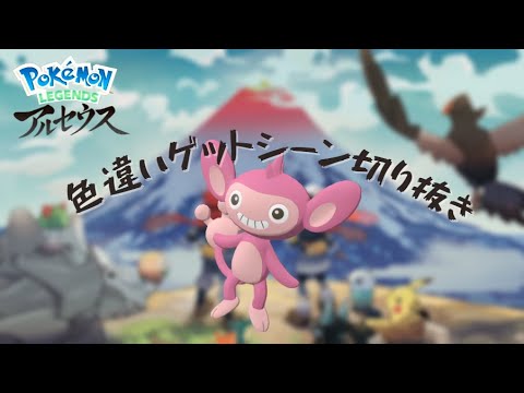 【アルセウス】ふとした時にポケモン光って脳汁ヤバイ（エイパム）#short