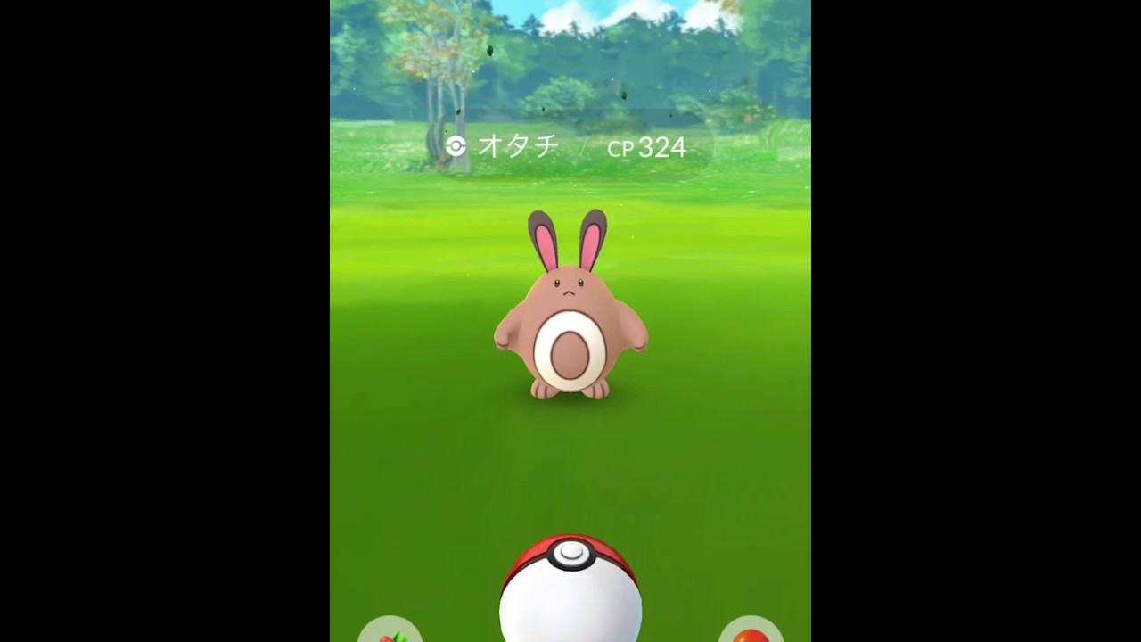 【Pokémon GO Excellent Throw】161 オタチ (Sentret)