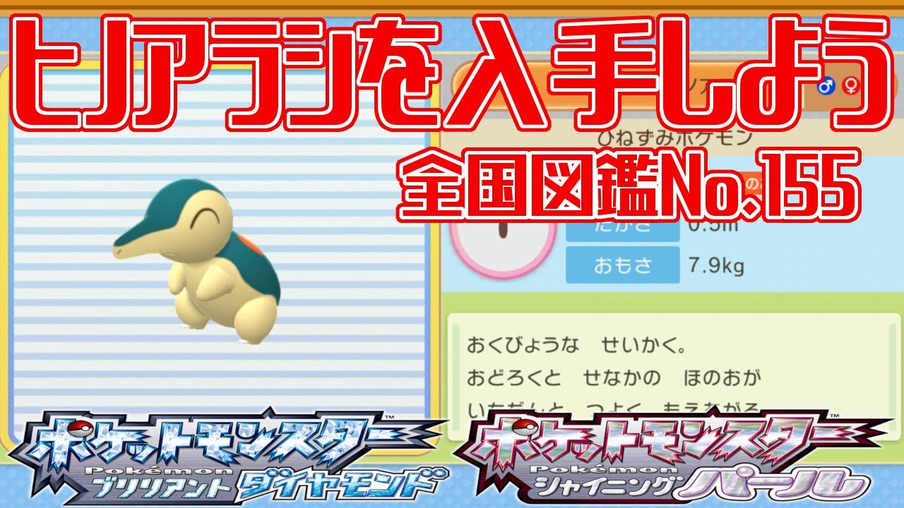 【ポケモンダイパリメイク】ヒノアラシを入手しよう 全国図鑑No.155【ポケットモンスター ブリリアントダイヤモンド・シャイニングパール】Pocket Monsters