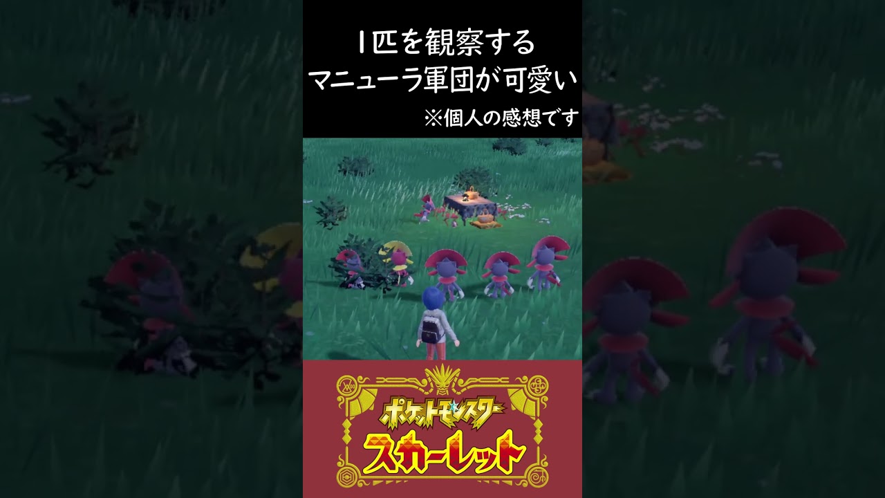 僕のマニューラ軍団が可愛い#shorts #ポケモンsv