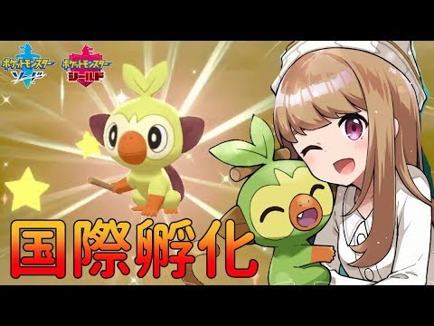 【ポケモン剣盾】サルノリの色違いを出しますッ！！！