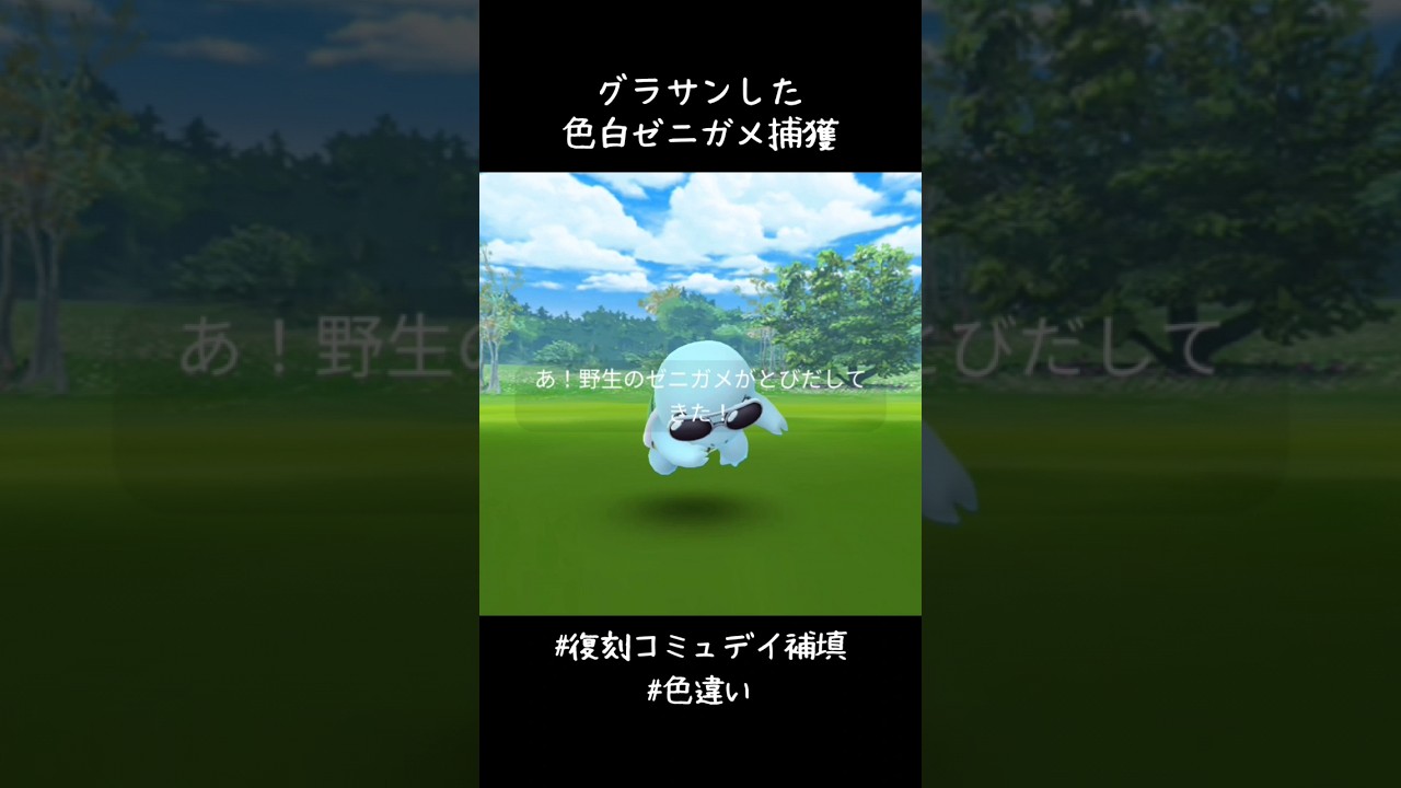 グラサンした色白ゼニガメ捕獲✨✨✨先々週ゲットできなかったから嬉しい😆#ポケモンGO #復刻コミュデイ補填 #色違い