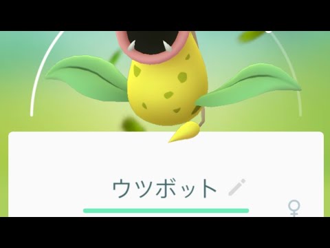【アシッドボム】ポケモンGo! ウツボット強くナレー