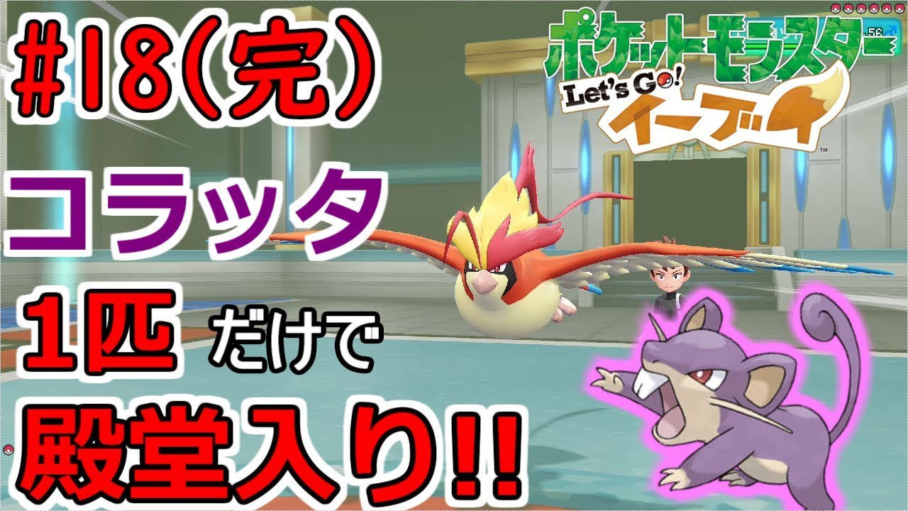 【ピカブイ】コラッタだけでクリアする完【伝説のネズミ】