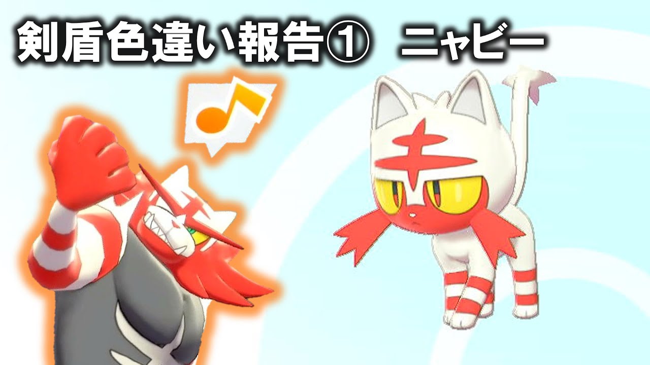 剣盾色違い報告①　色違いニャビー