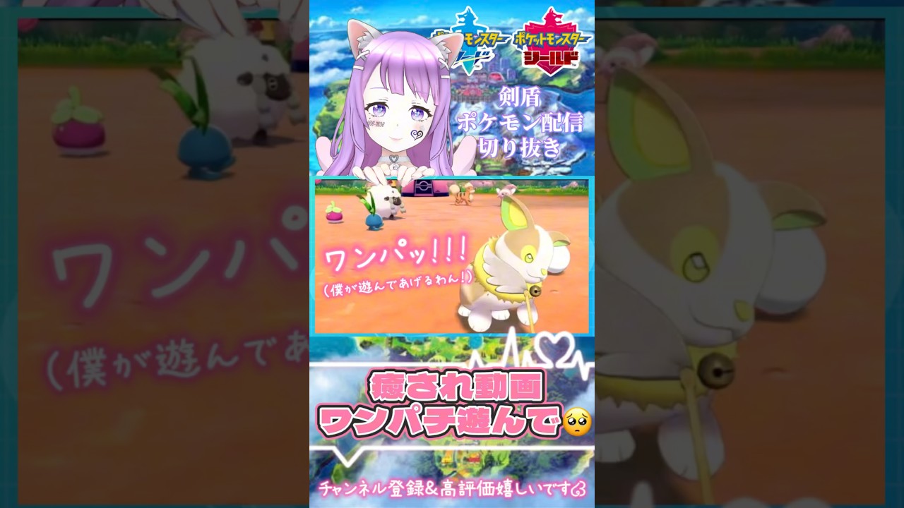ワンパチ遊んで！【ポケモン剣盾】#shorts #新人vtuber #切り抜き