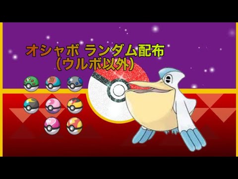 「オシャボランダム配布会」ポケモンSV ウルボ以外各10個ずつ‼ペリッパー便がお届けします‼
