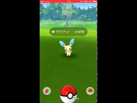 【Pokémon GO Excellent Throw】312 マイナン (Minun)