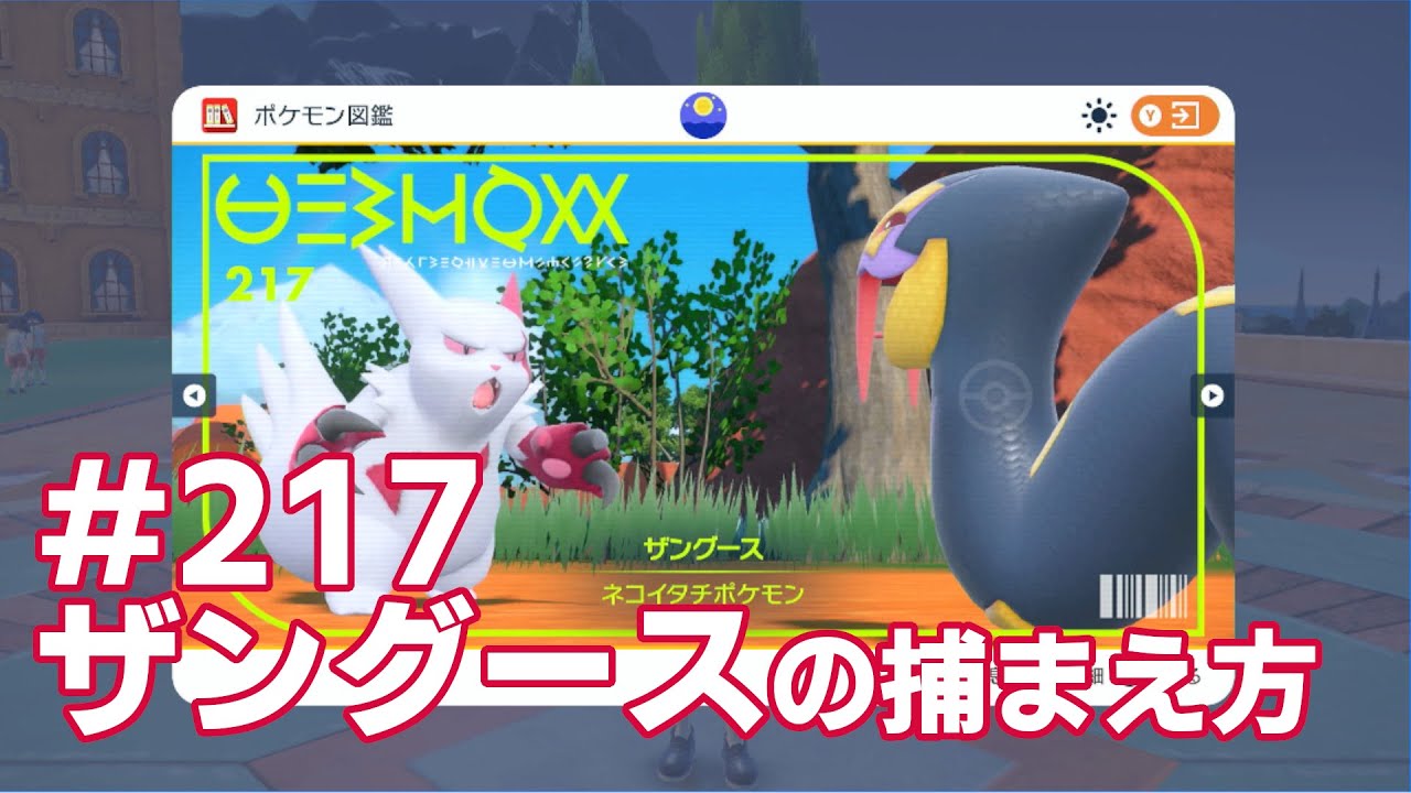 ザングースを探している方に見てほしい動画