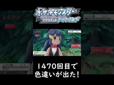 ポケモンBDSPでヒコザルの色違い縛りしたら1470回目で色違いが出た！【ポケットモンスターブリリアントダイヤモンド色違い縛り】＃Shorts