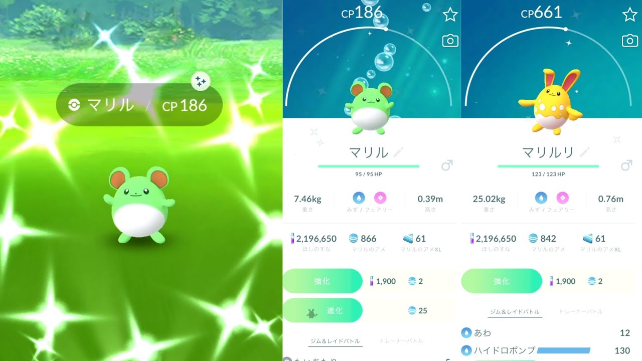 色違いマリル マリルリ ゲットできましたか【ポケモンGO 限定リサーチ】