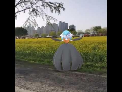 메가가디안 ( Mega Gardevoir ) メガサーナイト ( 沙奈朵 )