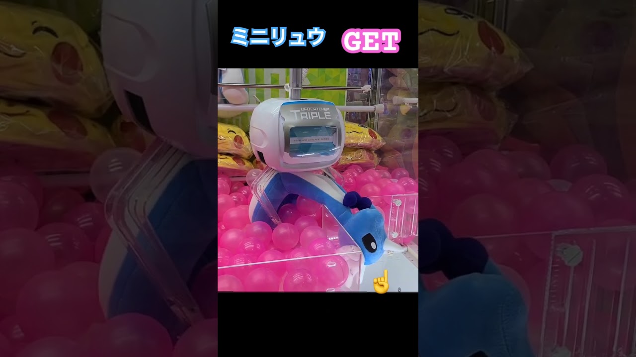 たまにあるラッキー台　#ミニリュウだと思ったらハクリュウでした  #pokémon