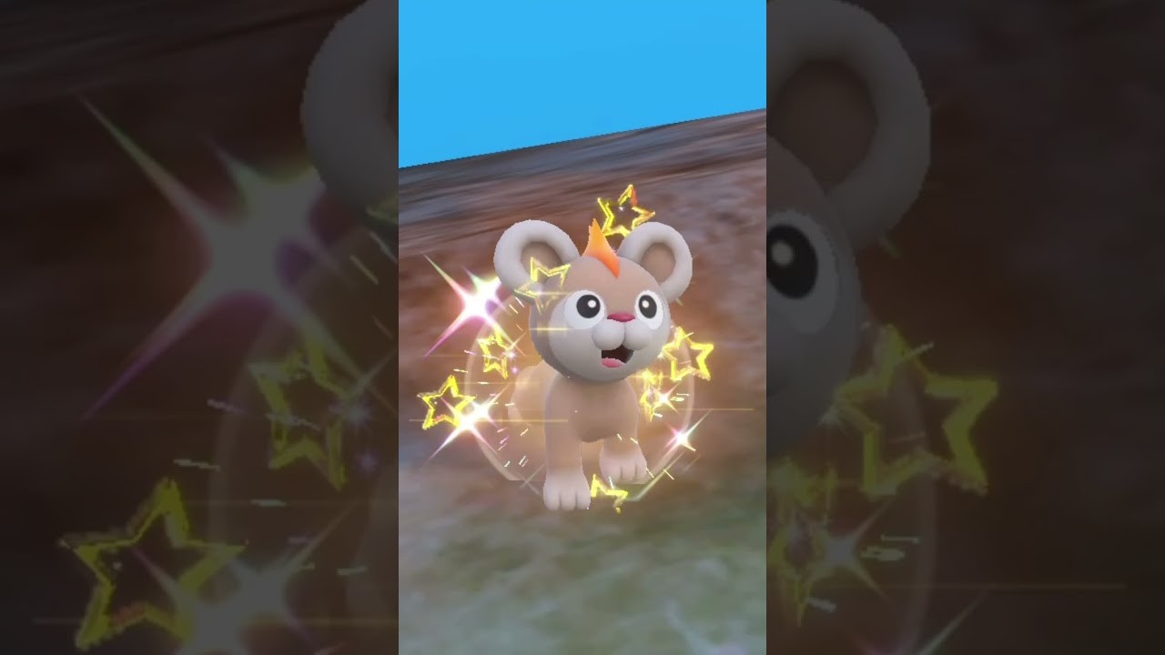 Random Litleo / シシコ 🐯 Shiny on Pokemon Violet ! ✨ (1/4096)
