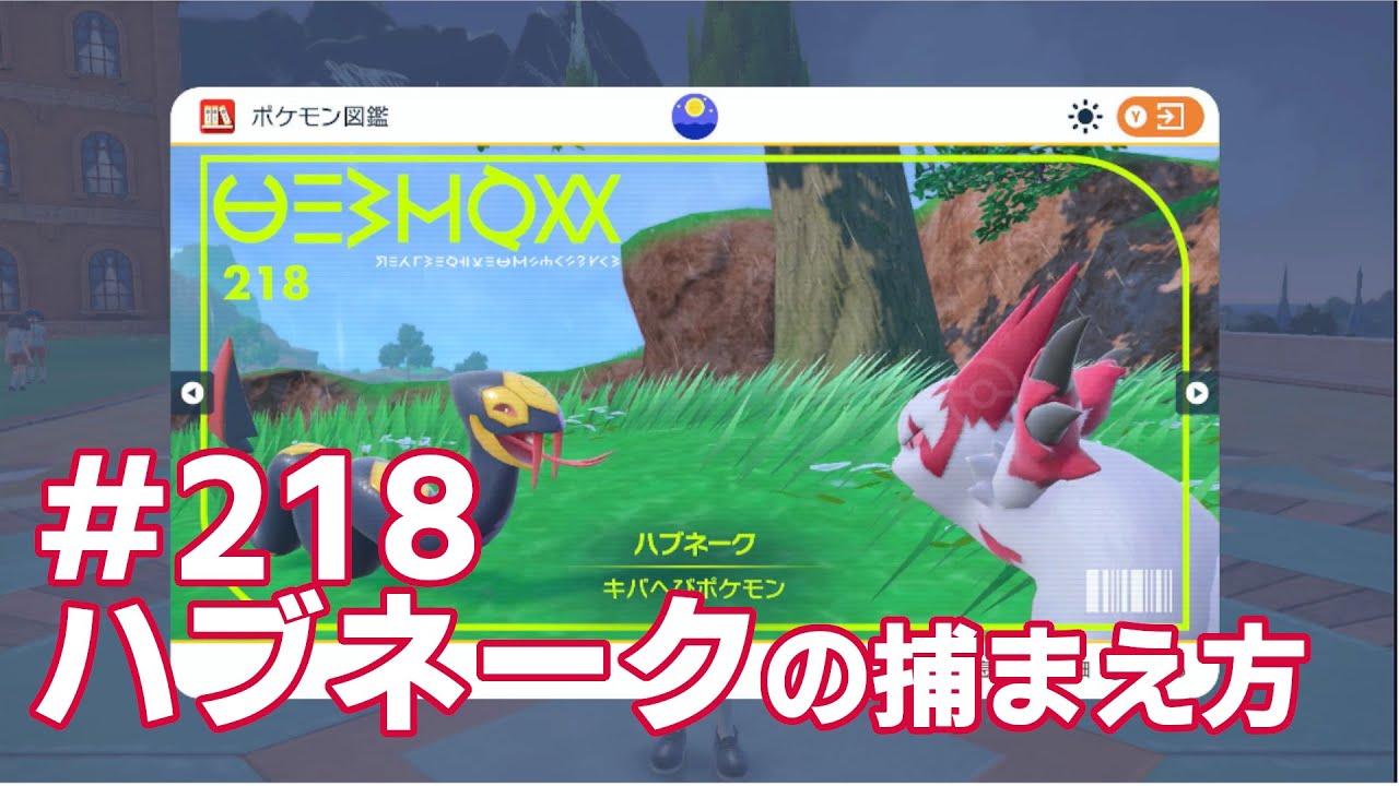 ハブネークを探している方に見てほしい動画