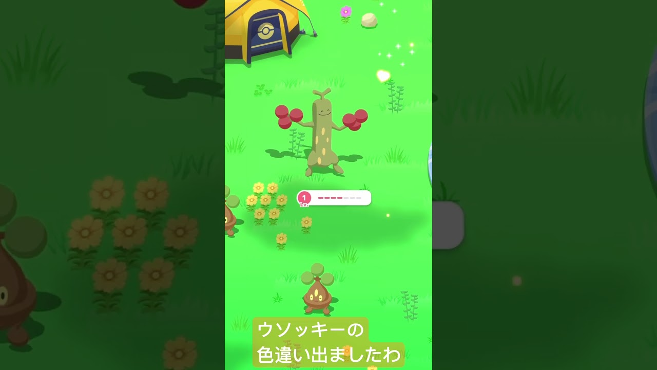 【ポケモンスリープ】ウソッキーの色違い出ましたわ！