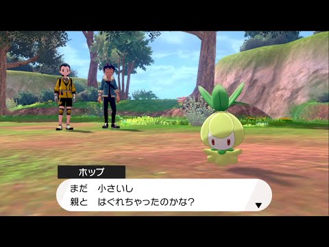 サルノリと行くガラル旅！Part17いくぞ！鎧の孤島！！