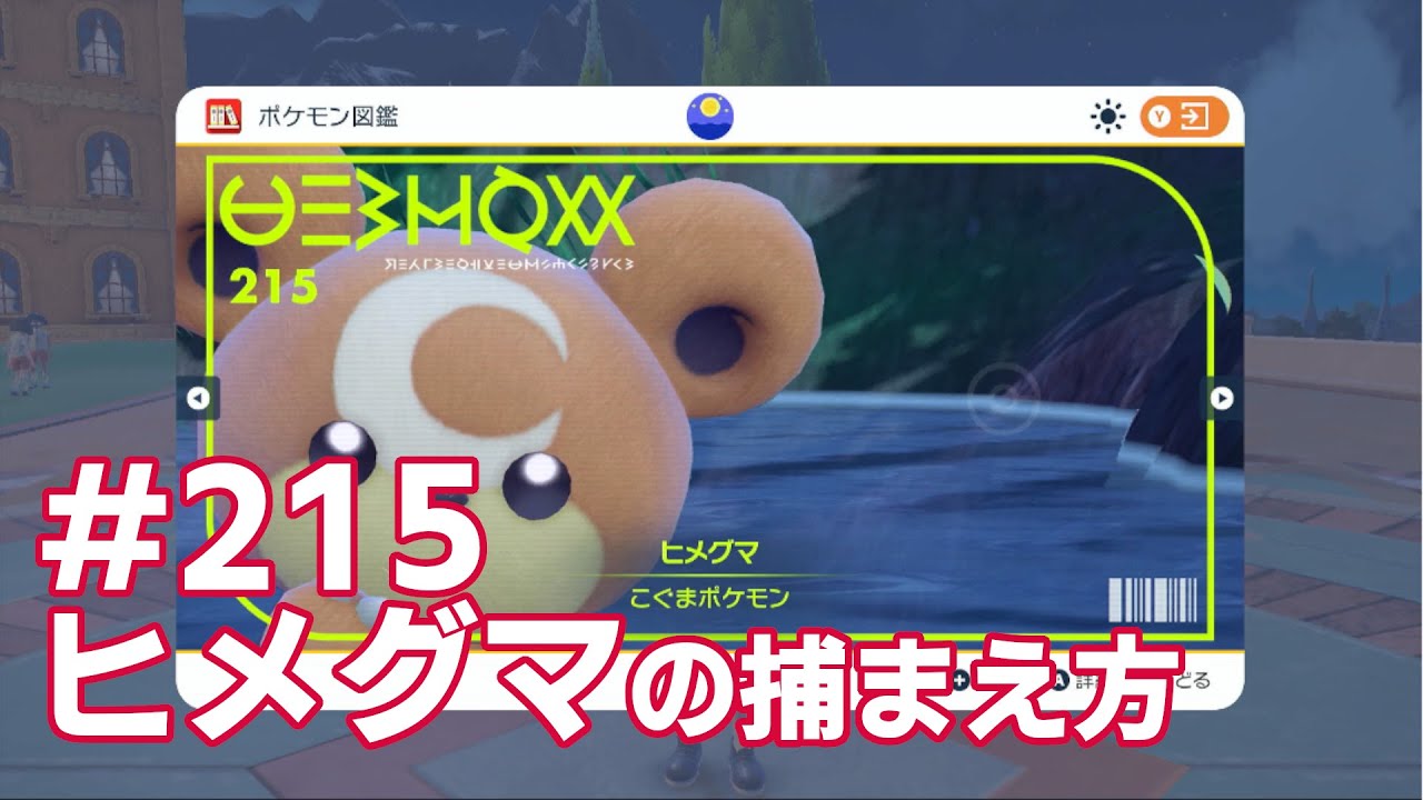 ヒメグマを探している方に見てほしい動画