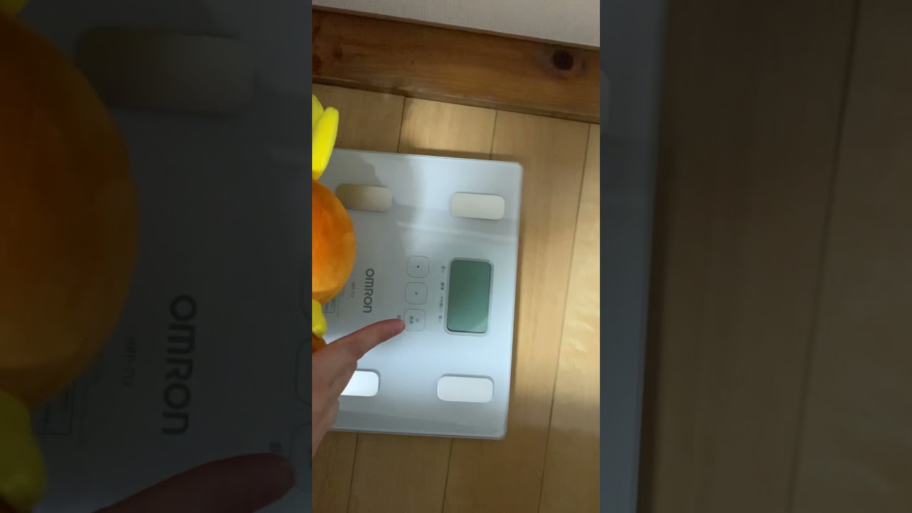 アチャモに体重計乗らせてみた
