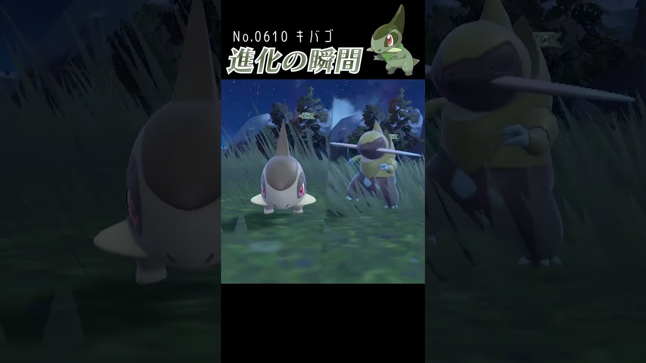 【バイオレット】キバゴ 進化の瞬間 #shorts 【色違い編】