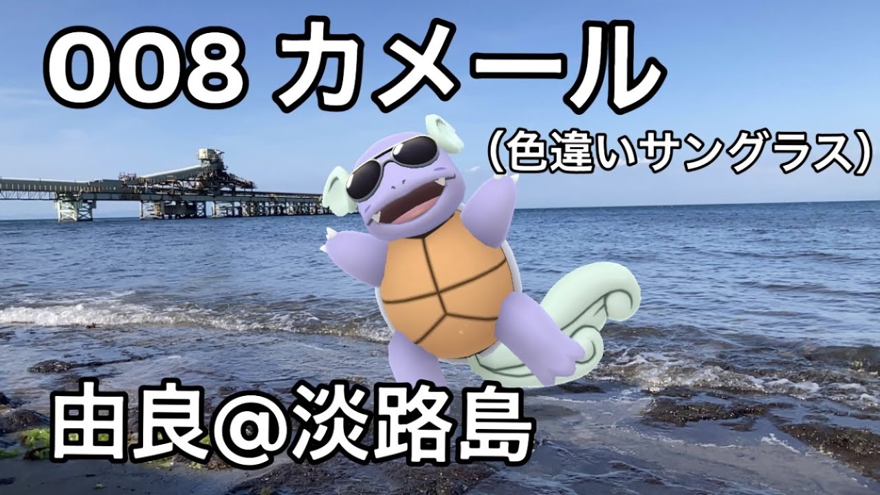 【ポケGO動くポケモンずかん】008カメール(サングラス)｜Wartortle(Costume)｜ShinyPokémon【ポケモンGO】PoKeMoN GO AR｜AR動画｜NianticAR