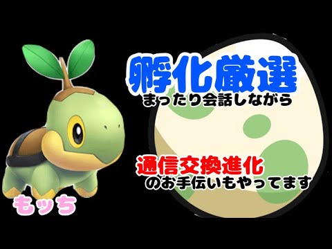【ポケモンBDSP】推しメンの孵化厳選　通信進化お手伝い　ペラップ朝かよ！