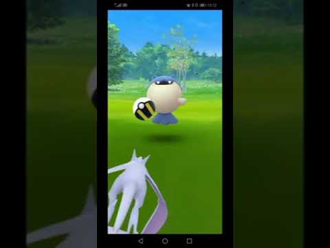 【イベント実況short】納涼！タマザラシのコミュニティデイの動画 #pokemongo #ポケモンgo #ゲーム実況 #イベント #コミュニティデイ #タマザラシ