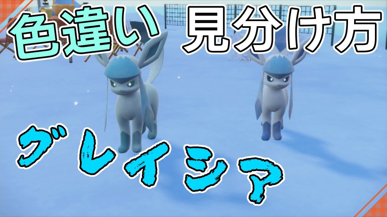 色違いグレイシアの見分け方【ポケモンSV】