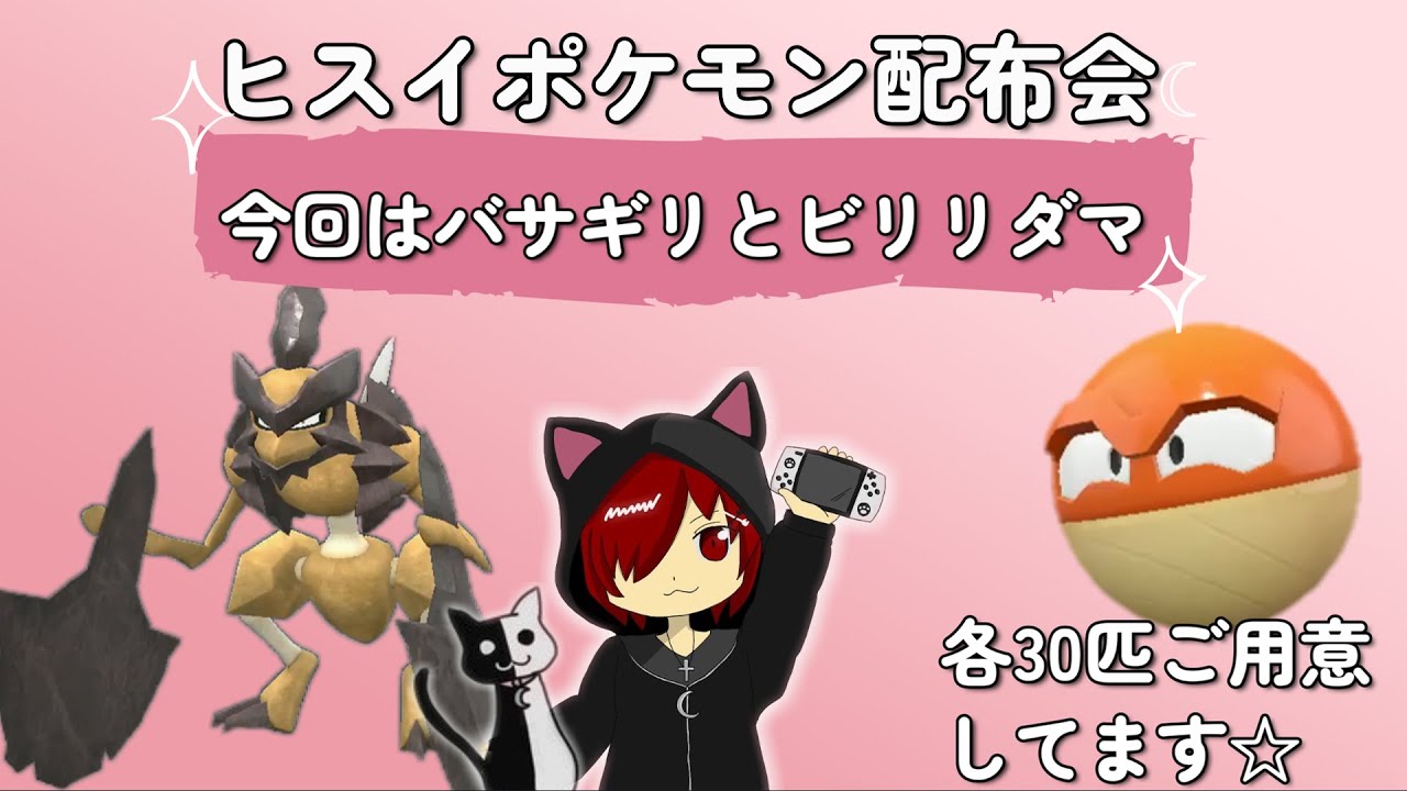 [ポケモンSV] ヒスイポケモン配布会☆今回はバサギリとビリリダマを各30匹ご用意してます°˖✧(時間があれば図鑑埋めのお手伝いや今までに配布していたヒスイポケモンも配布します！)のんびり実況°˖✧